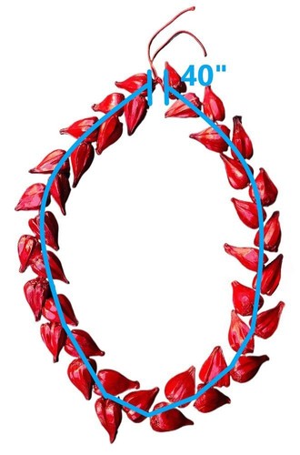Roman Reigns Tribal Jefe Rojo Ula fala Collar Disfraz Accesorio - Imagen 3 de 10