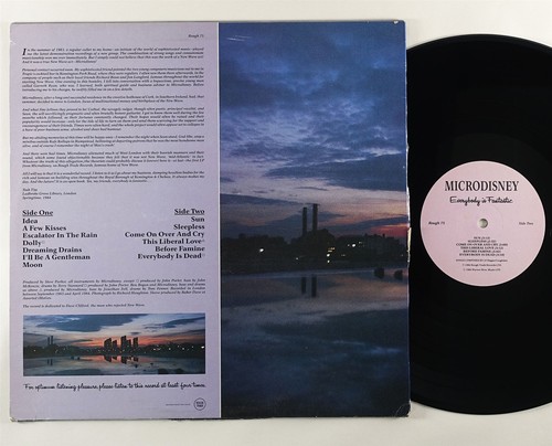 Microdisney "Everybody Is Fantastic" LP Rough Trade UK - Picture 2 of 2