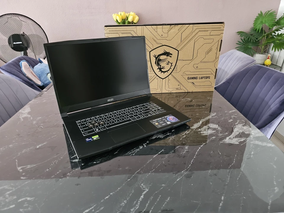 MSI Katana 17 B13VGK-671 Gaming Laptop - Bild 3 von 4