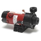 Tiny Might 1/16HP Spa Pump, 1in. Union x 1in. Union, 115V Waterway (3312610-14)