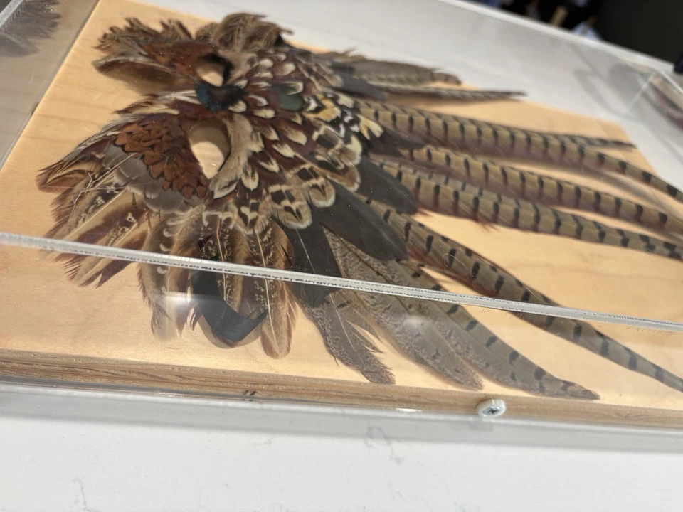 Máscara de carnaval en vitrina con plumas vintage Foto 4 de 4