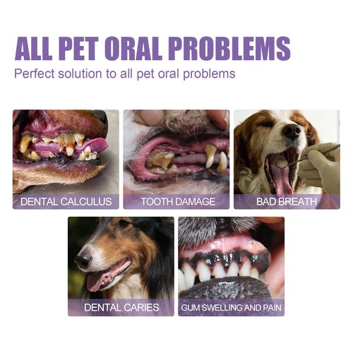 2PC Pet Oral Repair Gel Pet Teeth Oral Care Gel for Eliminate Bad Breath - Bild 4 von 6