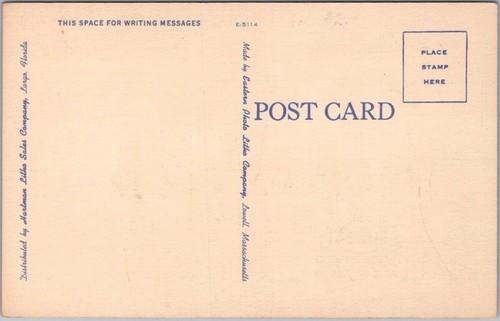 c1940s SARASOTA Florida Linen Postcard RINGLING BROS CIRCUS "Panther" / Linen - Picture 2 of 2