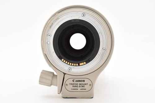 Canon EF 100-400mm F4.5-5.6 L IS USM Lens Working - Picture 6 of 9