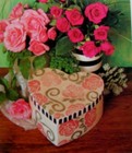 Imagen 5 de 12