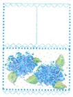 Bild 11 von 12