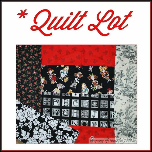 BonEful Fabric Cotton Variety Quilt Decor Harley Disney GIRL Scout VTG SCRAP BOX - Picture 7 of 12