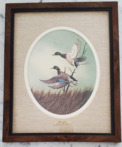 Set of Vintage Watercolored Bird Art by RJ Nelson. Matted/Framed 12.5" x 15.75" - Photo 2 sur 12