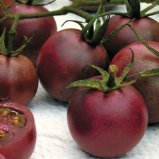 30 Chocolate Cherry Tomato Seeds - Super Sweet - Heirloom - Organic ------ RARE