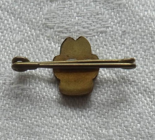 Queen's Jubilee Pendant & 3 Vintage 1960/70s Badges: Girl Guide, NPC, Star Trek - Picture 7 of 9