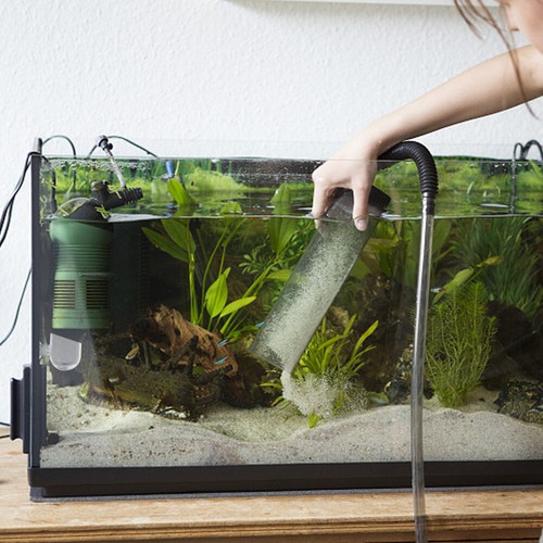 4X Aquarium Aquarium Schwimmfutter Kreis Fisch Futter Halter Tank Pflanzenhalter - Bild 8 von 12