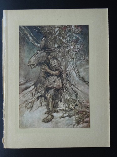 c1908 Original antiker Druck /12 aus EIN MITTSOMMERNACHTTRAUM von Arthur Rackham - Bild 3 von 4
