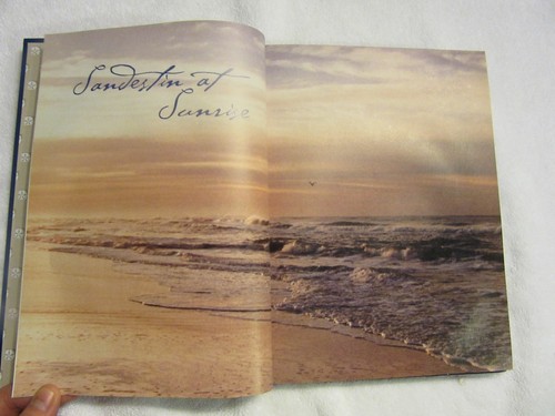 Savoring Sandestin : Recipes and Memories from Sunrise to Sunset by Sandestin... - Bild 3 von 12