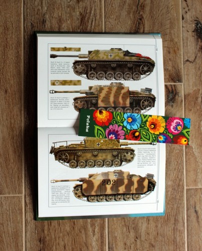 STURMSCHUTZ / StuG / IN FELD ACTION Geschichte Fotos Platten - Bild 7 von 12