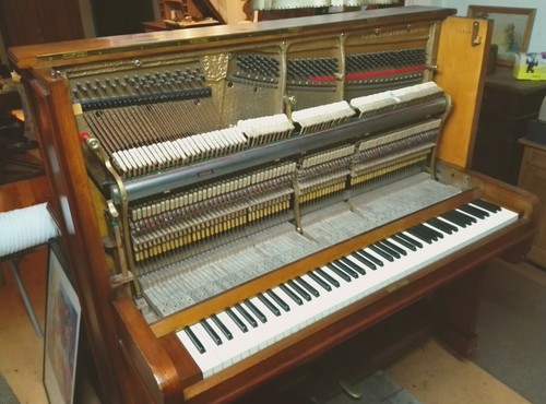 Steingräber & Söhne 1925 Piano Bauhaus Desing High Quality - Picture 4 of 7