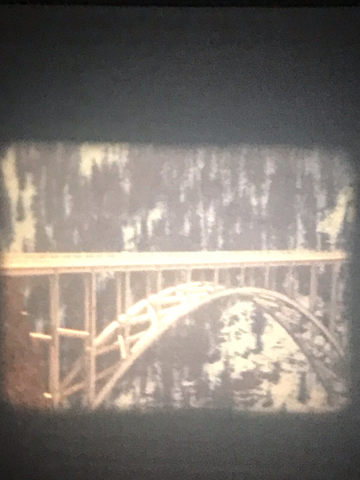 Picture 19 of 24