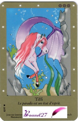 CARTE CARD Cheval Horse " BELLA SARA " EDITION DE BASE N° AUX CHOIX - Imagen 69 de 88