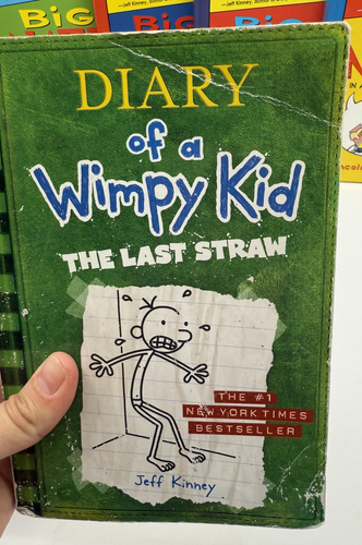Dork Diaries, Big Nate, Wimpy Kid & Dog Man Sortiment Bücher 10 Stück - Bild 8 von 12
