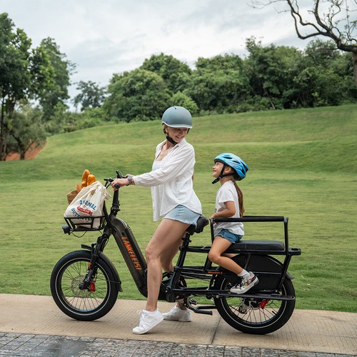 LANKELEISI 1000W Longtail E-Lastenrad 20Zoll Cargo Elektrofahrrad Fatbike E-Bike - Bild 13 von 21