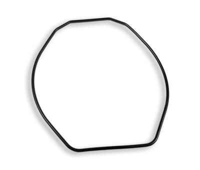 Casio Dichtung O-Ring schwarz PRG-90 PAG-80 PAW-1200 PRG-80 PRW-1200