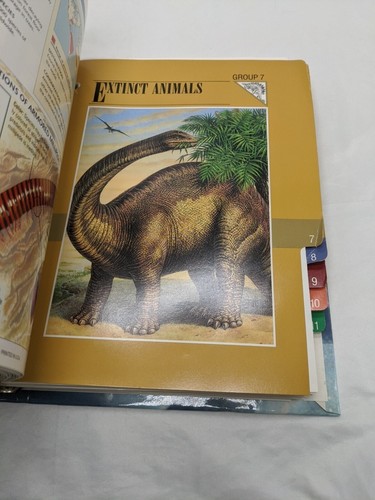 1990er Wildlife Fact File mit 141 Karten - Bild 9 von 18