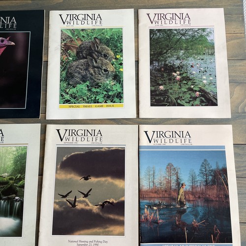 Near Complete 1990 Set of Virginia Wildlife Magazines - Beautiful Photography - Picture 5 of 7