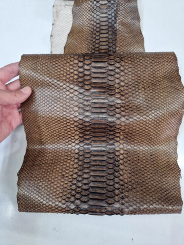 Genuine snake leather, long and wide real python leather of thick 0,7mm (2 oz) - Picture 3 of 13
