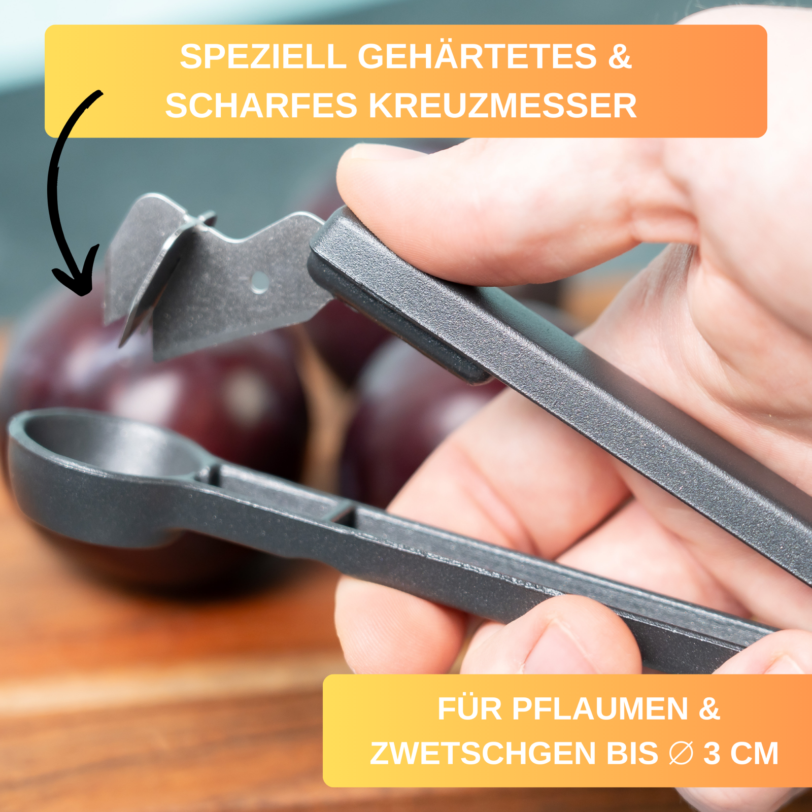 Bild 24 von 29