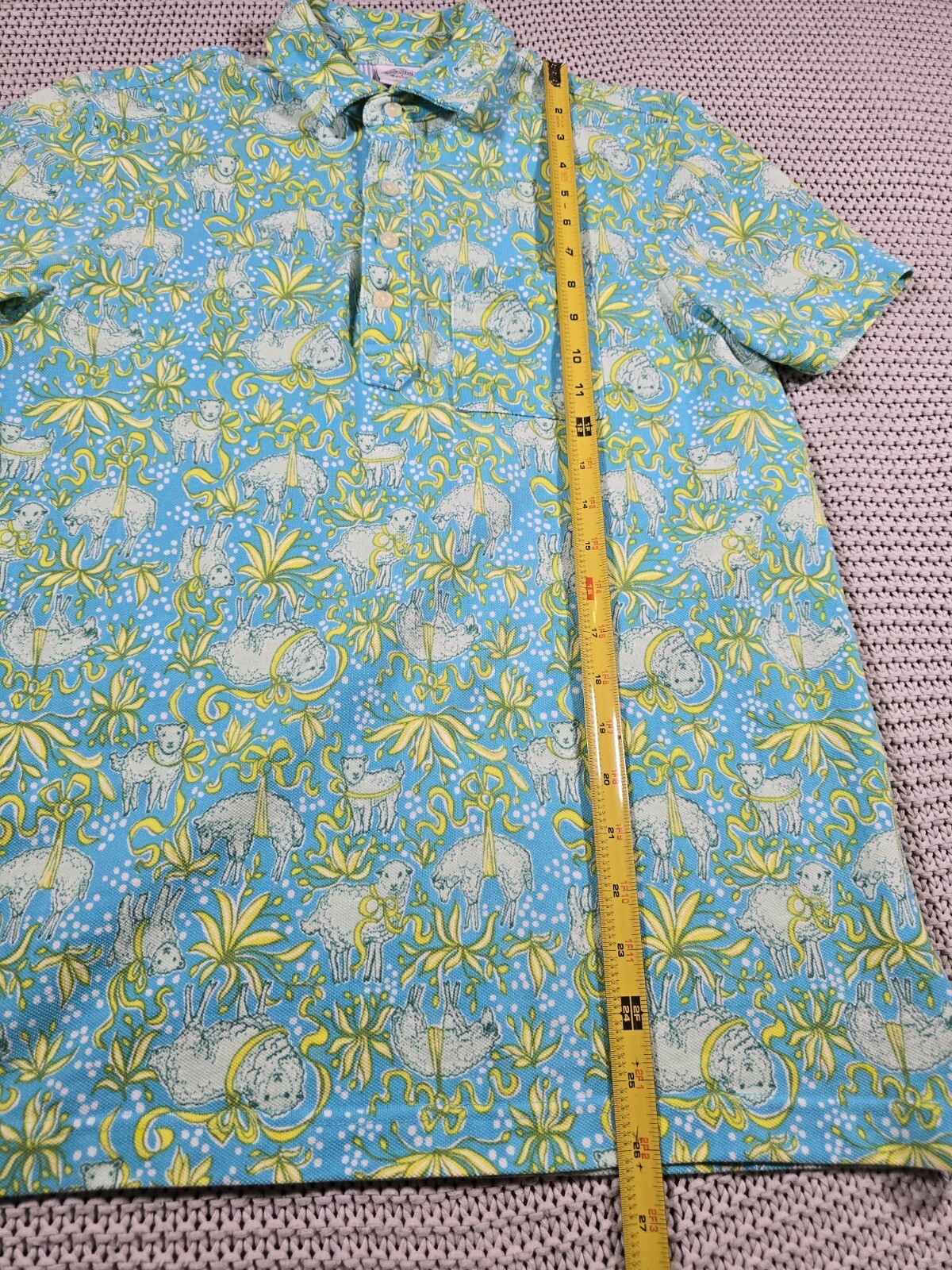 Picture 11 of 11