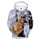 Bild 8 von 22