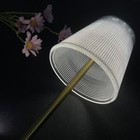 Foto 9 di 12