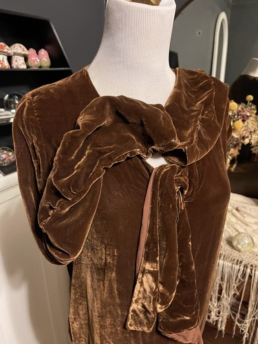 1920s Brown Silk Velvet Drop Waist Flapper Dress - Picture 12 of 14