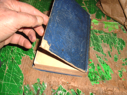 1854 Fern Leaves From Fanny's Port-Folio hardcover Fanny Fern - Imagen 2 de 12