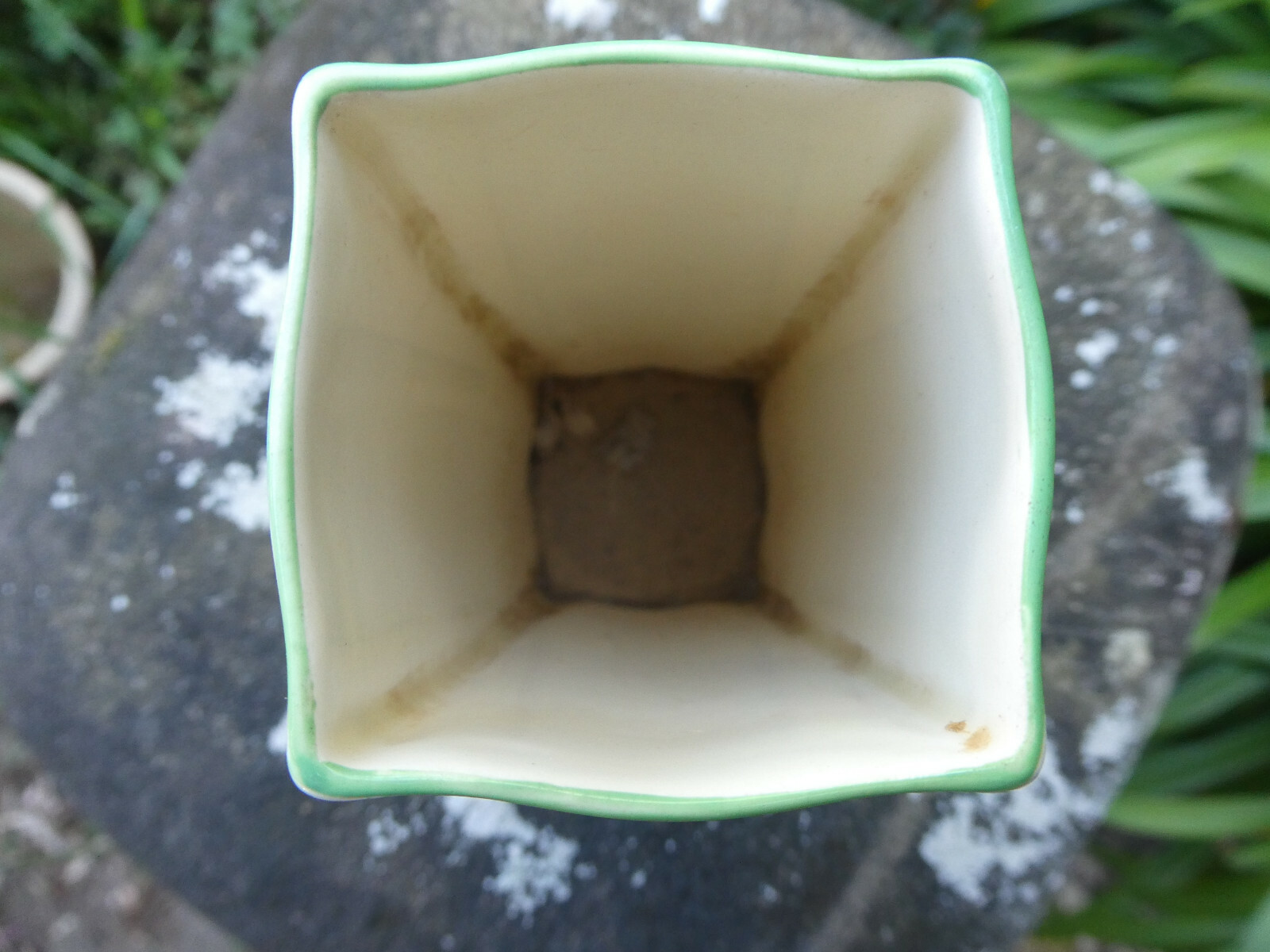 Picture 5 of 8