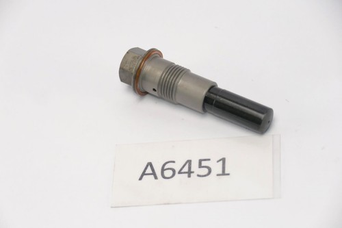 BMW R 1200 RS R12WR 2015 - Steuerkettenspanner A6451