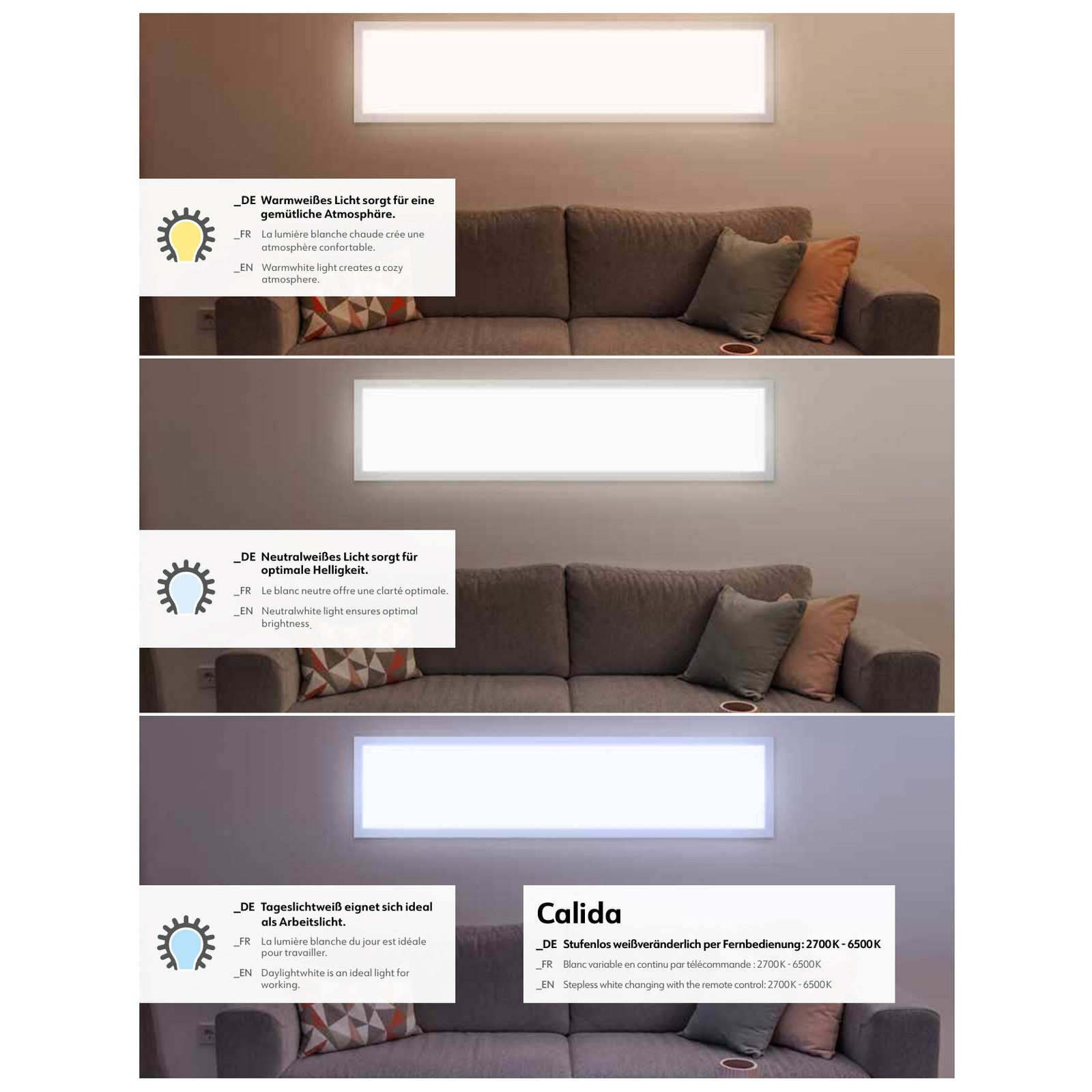 Foto 4 di 4