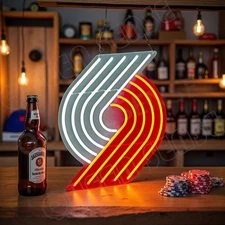 16"x13" Portland Trail Blazers LED Neon Sign Dimmer USB Powered Light Visual VL
