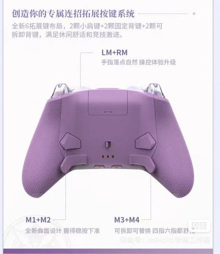Flydigi Apex 5 HONKAI:STAR RAIL Castorice Gaming Controller Wireless Gamepad - Picture 3 of 4