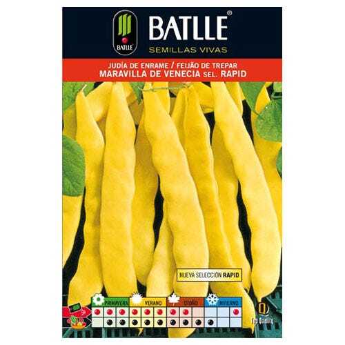 Semences horticoles de Batlle - Haricot nain Golden Gate (100g) - Bild 1 von 3