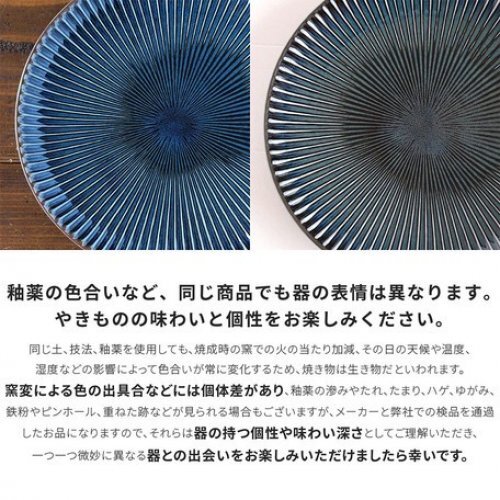 Minoyaki SENDAN Serie gestreift Schüssel Geschirr Küche Made in Japan - Bild 8 von 11