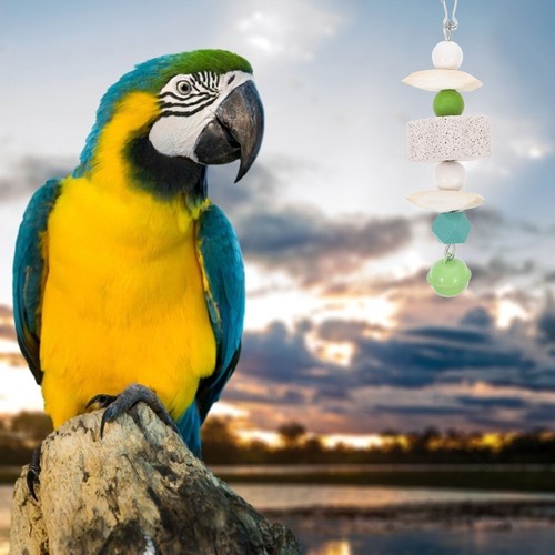 Parrot Bird Grinding Teeth Hanging vendre Chewing Toys Cage Bite