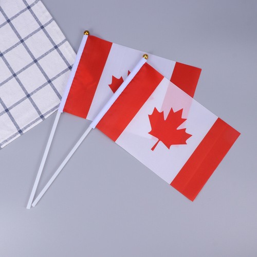 Stick Flags Of Country Hand Held Flags Country Flags On Stick - Picture 3 of 18