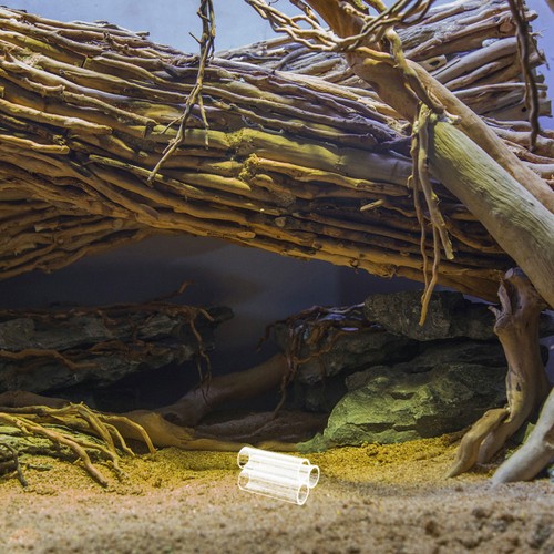 Crystal Shrimp House Fish House Shrimp Habitat Shrimp Shelter - Picture 6 of 12
