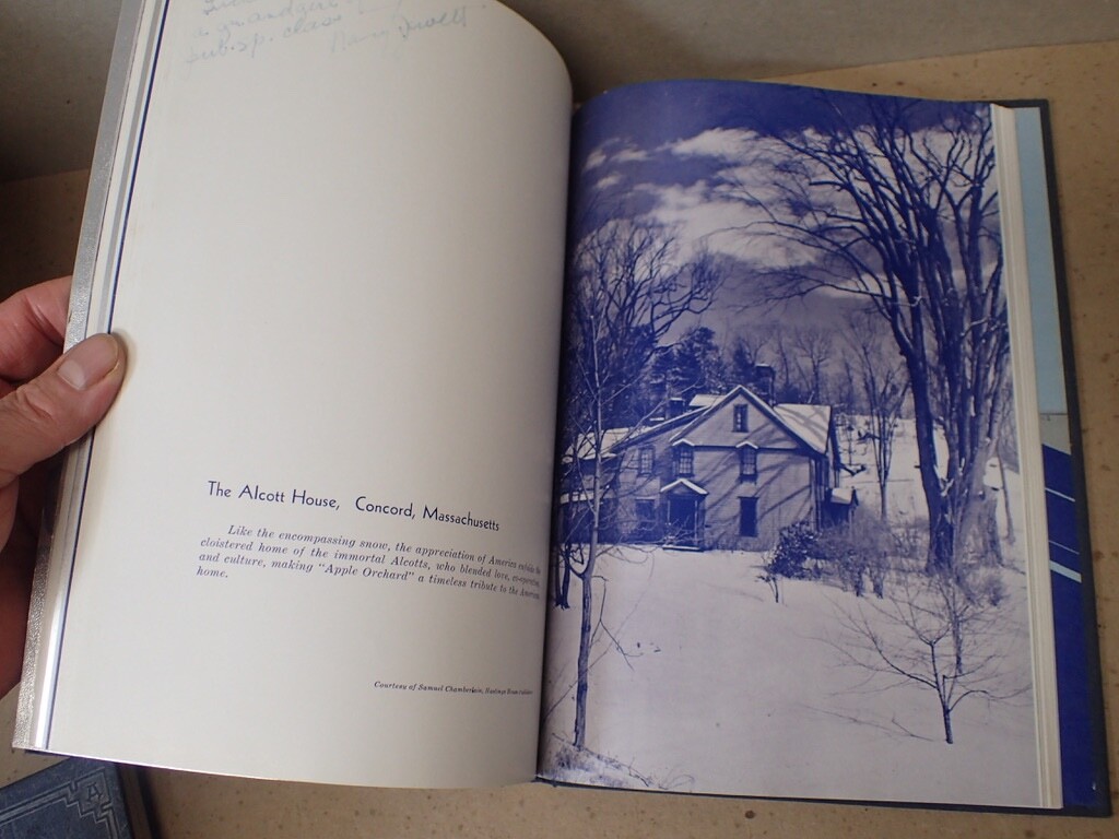Picture 13 of 24