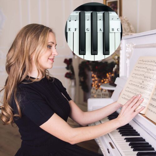 88 Key Full Size Piano Rake Key, Piano Keyboard Notes for Beginner - Picture 6 of 7
