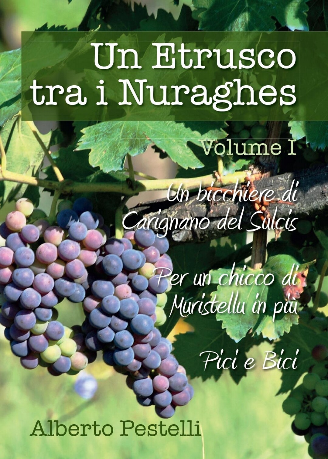 Un etrusco tra i nuraghes - Volume 1	 di Alberto Pestelli,  2016,  Youcanprint