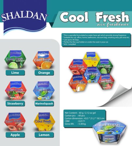 6 Dosen Shaldan Cool Fresh - Lufterfrischer - ORANGEN Duft - Bild 5 von 7