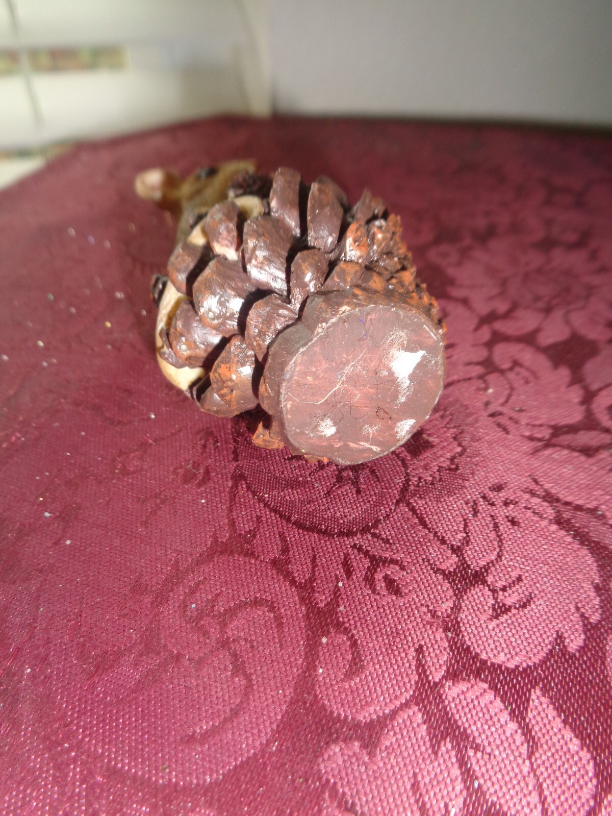 Picture 5 of 5