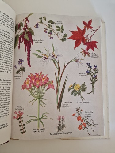 Garden Plants In Colour A.G.L Hellyer 1958 1st Ed illustrated book; Gardening - Picture 10 of 12