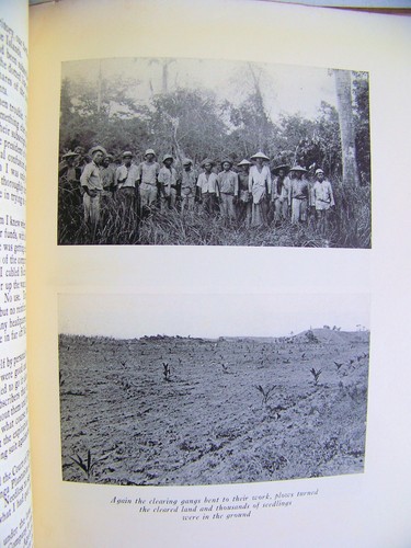 RARE 1925 Ltd. Edition BUENA VISTA: AN AMERICAN VIEW OF THE PHILIPPINE ISLANDS - Picture 6 of 7